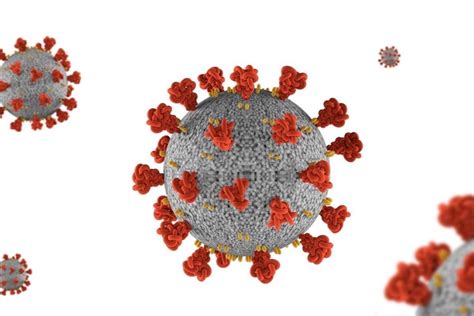 Evolution Of Sars Cov Variants