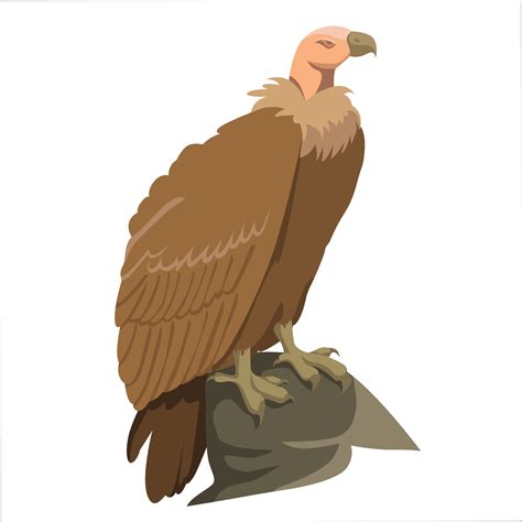 Vulture Color Clipart Vector Illustration Design 3235673 Vector Art at ...