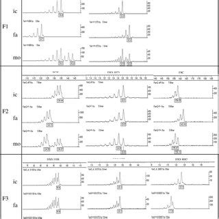 Example Of Electropherograms Showing The PCR Products Amplified From