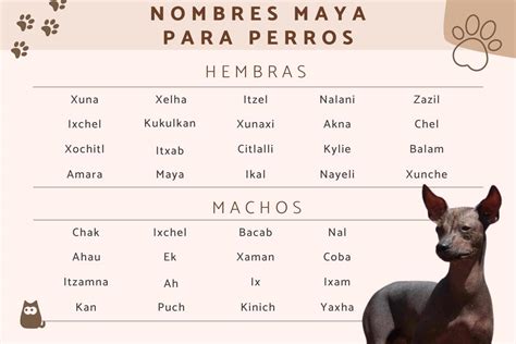 Dioses Mayas Nombres