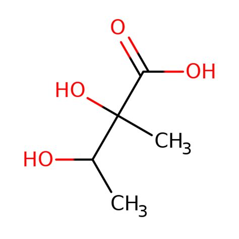 2 Methylbutanoic Acid