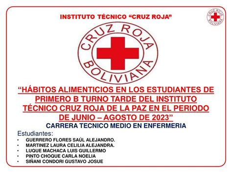 PROYECTO DE INTERVENCION EN SALUD MAGGUI TICONA MACHICADO UDocz