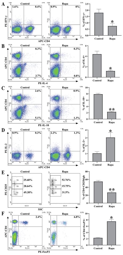 Rapamycin Treatment Inhibited Inflammatory Cytokine Production While