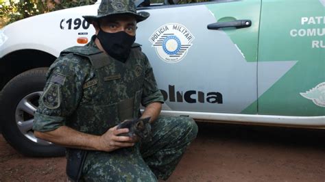 Assista o vídeo deste importante trabalho da Polícia Militar Ambiental