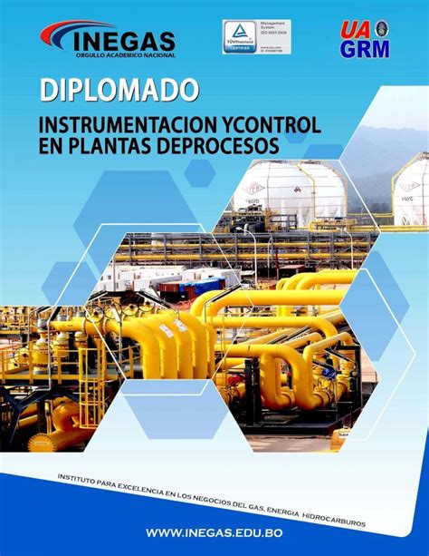 PDF Diplomado Instrumentación y Control en Plantas de Procesos