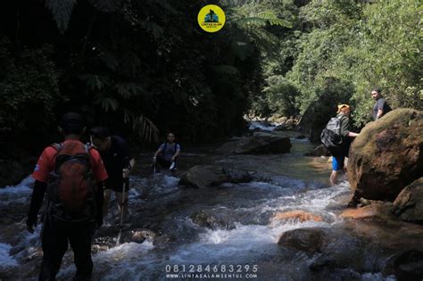 Info Jalur Hiking Paling Favorit Di Sentul