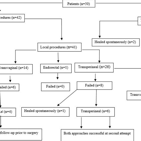 Management Of Rectovaginal Fistula Download Scientific Diagram