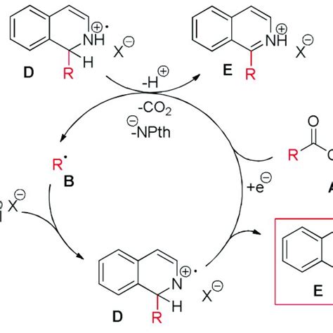 Scheme 3 Proposed Mechanism For The Radical Chain Reaction Without A