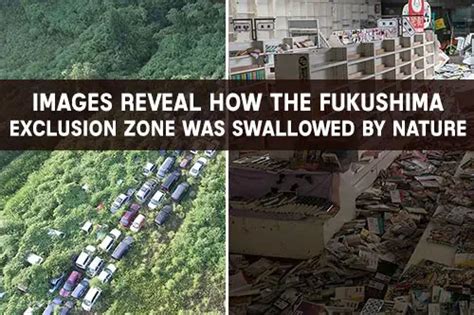 Images Reveal How The Fukushima Exclusion Zone Was Swallowed By Nature ...