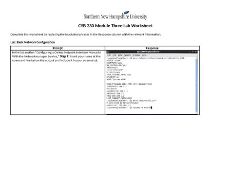 Cyb Module Three Lab Lab Basic Network Configuration Prompt