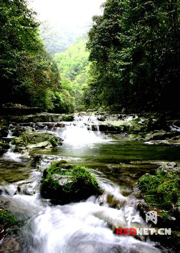 沅陵实施“三二”工程助推借母溪旅游开发新闻中心新浪网