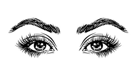 Premium Vector | A sketch of a woman's eyes with eyelashes.