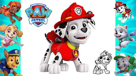 How To Draw Marshall 🐶 Paw Patrol Easy Drawing Marshall 🐶 Paw Patrol Characters Cartoons Youtube