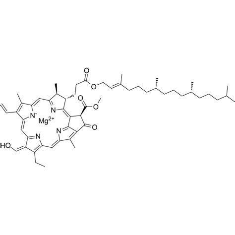 Chlorophyll b | Biochemical Assay Reagent | MedChemExpress