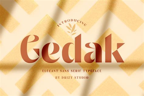 Gedak Sans Serif Elegant Font Drizy Studio