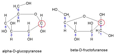 Draw the structure of sucrose. Label the glucose and fructos | Quizlet