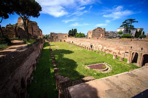 Colosseum Underground & Ancient Rome Tour