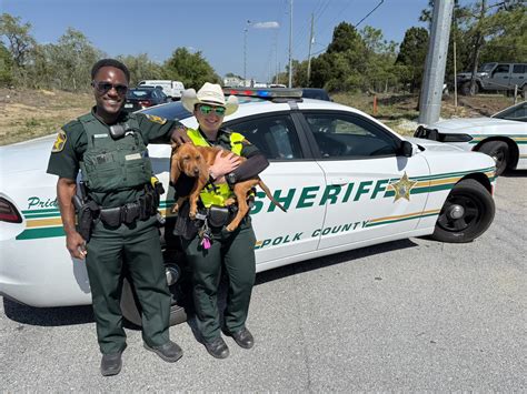 Trax! - Polk County Sheriff's Office | Facebook