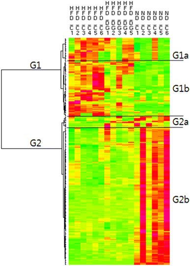 Hierarchical Clustering Analysis Heat Map Of Metabolite Mass Ions Download Scientific Diagram