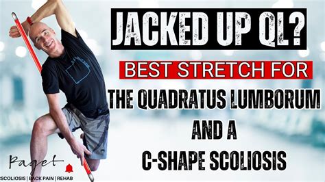 Scoliosis And Ql Stretches For C Shape Scoliosis Quadratus Lumborum