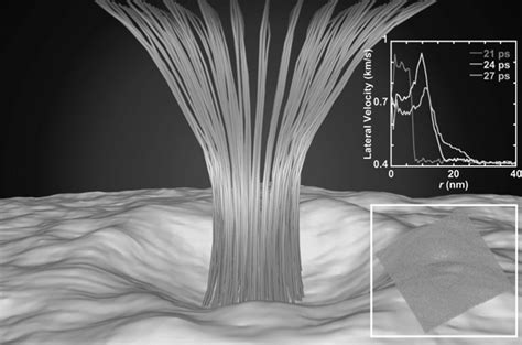 Poration Of Lipid Bilayers By Shock Induced Nanobubble Collapse