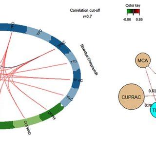 Circos Plot And Network Showing The Relationship Between Total