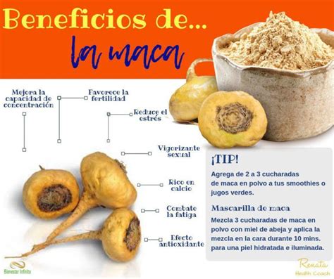 Beneficios De La Maca Bienestar Infinito