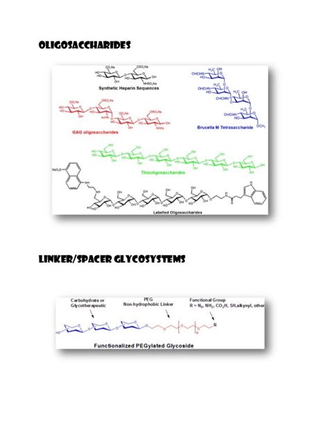 Custom oligosaccharide synthesis