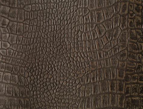 Alligator skin Stock Photos, Royalty Free Alligator skin Images ...