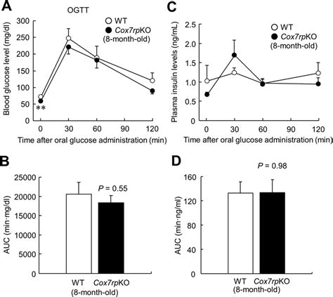 Lower Blood Glucose Levels In 8 Month Old Cox7rpko Mice Versus Wt Mice