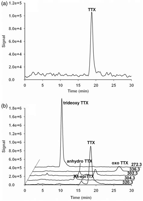 Lc Ms Chromatograms Of The Ttx Standard And A Sample Collected From