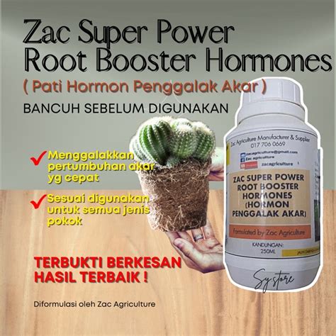 Pati Hormon Penggalak Pertumbuhan Akar Rooting Booster Hormones