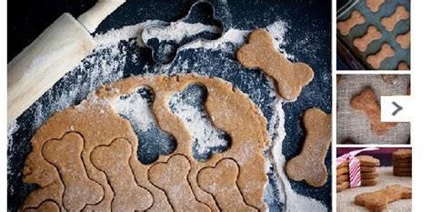 Cómo hacer Galletas para PERROS CASERAS sanas y baratas Si te gusta