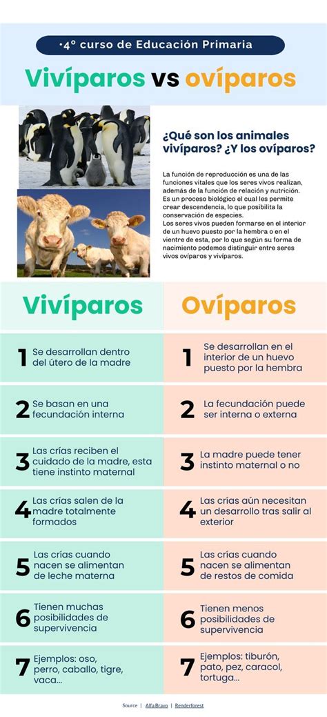 La Infograf A Compara Las Principales Caracter Sticas De Los Viv Paros