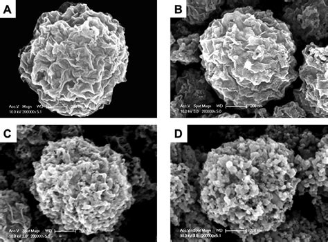 FE SEM Images Of TiO 2 GR Composite At Different Weight Ratios Of