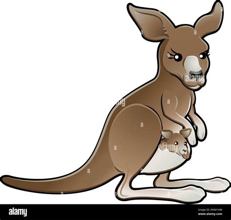 Kangaroo joey in pouch Stock Vector Images - Alamy