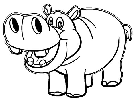 Hippo Face Drawing at PaintingValley.com | Explore collection of Hippo ...