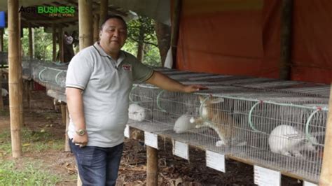 How To Start Rabbit Farming Philippines At Renate Abbott Blog