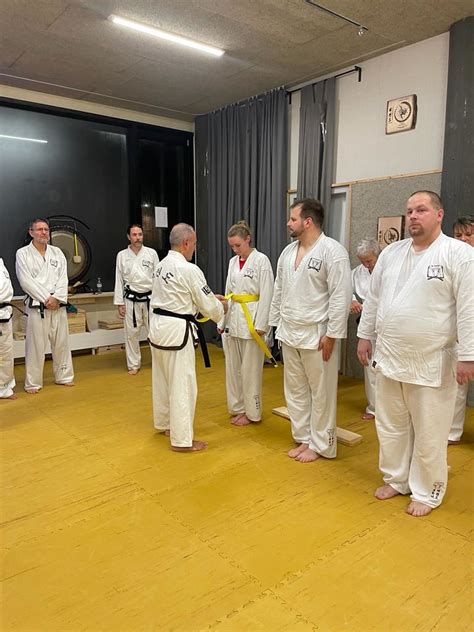 342de5b7 626c 4d74 8314 8f1d7a449eb0 Lehrgang Schweiz Taekwondo