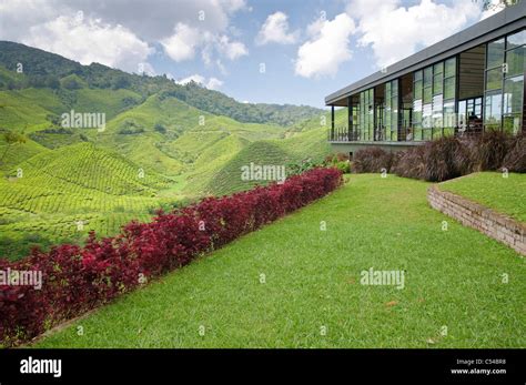 Prk Cameron Highland Tarikh Madeleine Mcgrath