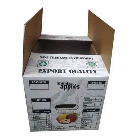 Single Wall Ply Kg Fruit Vegetable Export Corrugated Box At Rs