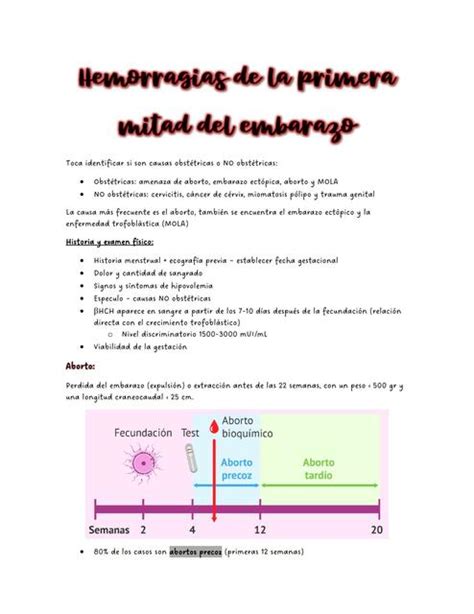 Hemorragia De La Primera Mitad Del Embarazo Aleja Huertas Udocz