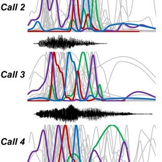 Response Features Vary Among Neurons And Calls Oscillograms Top And