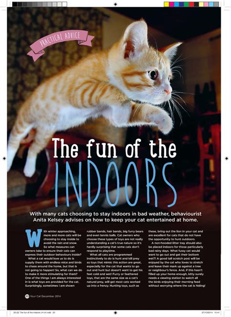 Your Cat Magazine Article Anita Kelsey Dec 2014 Anita Kelsey Cat