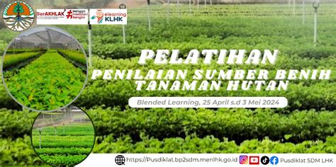 Ringkasan Dari PELATIHAN PENILAIAN SUMBER BENIH TANAMAN HUTAN TA 2024