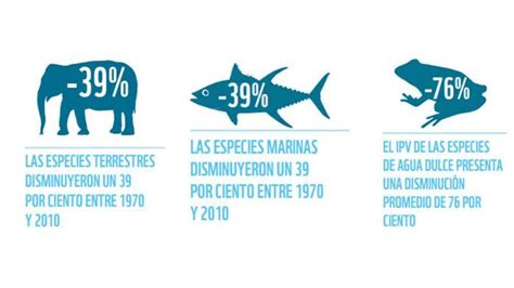 Qué es el Informe Planeta Vivo Ecología