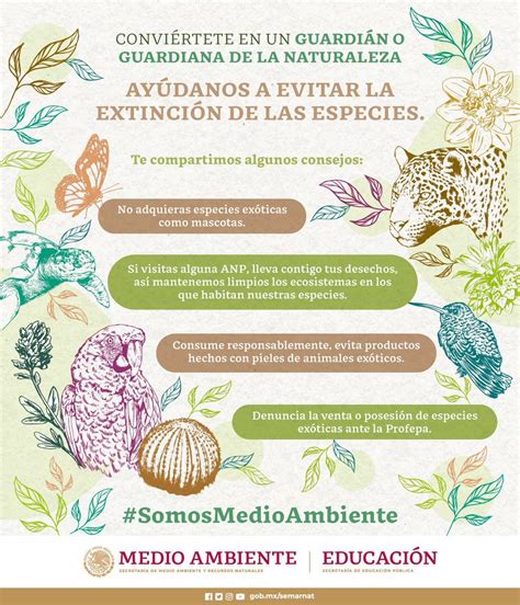 SEMARNAT México on Twitter Conviértete en una guardiana o guardián