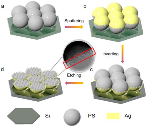 Chemosensors Free Full Text Highly Polarized SERS Based On Random