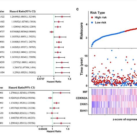 Construction Of Prognostic Risk Model Of Ags For Hnscc Patients A