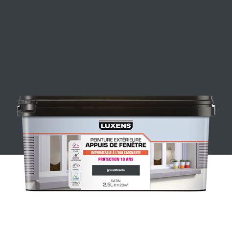 Peinture extérieure appui de fenêtre LUXENS gris mat 2 5l Leroy Merlin